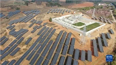 光伏板下春耕忙！興能電力讓陽光"種"出雙份收益